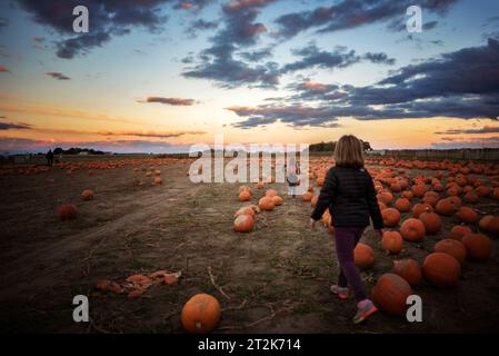 Jeunes sœurs marchant dans le champ de citrouilles au coucher du soleil Banque D'Images