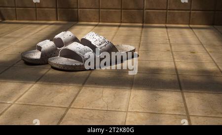 Une paire de sandales blanches avec des taches noires prises dans le reflet des rayons du soleil Banque D'Images