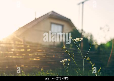 Dans les rayons du soleil, une vue rurale, un chalet traditionnel avec à travers l'herbe verte. Cottage au loin contre le ciel avec espace à copier. Photo de haute qualité Banque D'Images