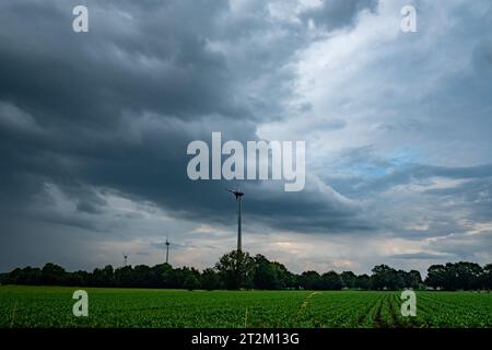 Admirez le contraste captivant des éléments de la nature dans cette image saisissante. Un champ d'agriculture verte de jeunes maïs se tient résilient au printemps, tandis que sous un ciel sombre et menaçant orageux avec des nuages menaçants. Cette scène capture l'équilibre délicat entre la croissance et les forces de la nature, mettant en valeur la beauté et la puissance du monde qui nous entoure. Contraste de la vie : Young Cornfield au milieu de Stormy Skies. Photo de haute qualité Banque D'Images