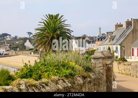 Ile de Batz dans la Manche au large des côtes bretonnes près de Roscoff, département du Finistère Penn-ar-Bed, région Bretagne Breizh Banque D'Images