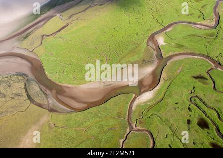 Vue aérienne, rivière et affluents Afon Dwyryd, pays de Galles, Grande-Bretagne Banque D'Images