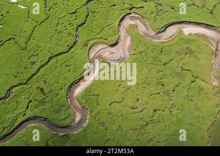 Vue aérienne, rivière et affluents Afon Dwyryd, pays de Galles, Grande-Bretagne Banque D'Images