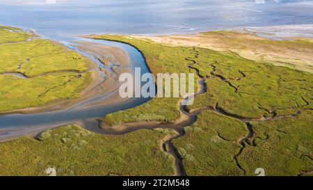 Vue aérienne, rivière et affluents Afon Dwyryd, pays de Galles, Grande-Bretagne Banque D'Images