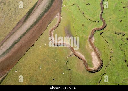 Vue aérienne, rivière et affluents Afon Dwyryd, pays de Galles, Grande-Bretagne Banque D'Images