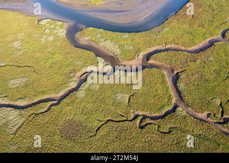 Vue aérienne, rivière et affluents Afon Dwyryd, pays de Galles, Grande-Bretagne Banque D'Images