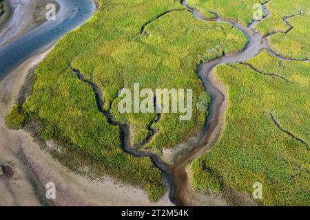 Vue aérienne, rivière et affluents Afon Dwyryd, pays de Galles, Grande-Bretagne Banque D'Images