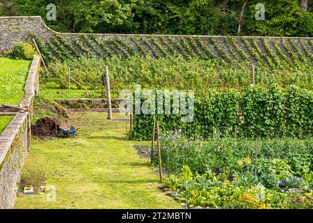 Le potager clos du château de Torrisdale, Kintyre Penisula, Argyll & Bute, Écosse Royaume-Uni Banque D'Images