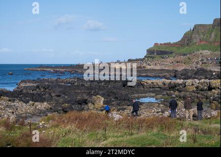 Vue depuis le sentier côtier vers la chaussée des géants. Bushmils, comté d'Antrim, Irlande du Nord Banque D'Images