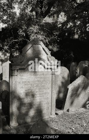 Vieilles pierres tombales patinées sur un cimetière juif historique dans le quartier de Prague-Žižkov Banque D'Images