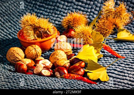 Composition de nature morte d'automne avec des feuilles jaunes, des piments rouges, des châtaignes, des noix, des châtaignes piquées et un pot orange rustique Banque D'Images