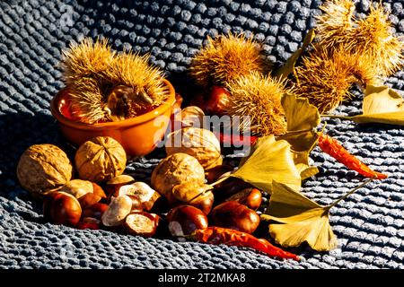 Composition de nature morte d'automne avec des feuilles jaunes, des piments rouges, des châtaignes, des noix, des châtaignes piquées et un pot orange rustique Banque D'Images