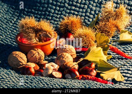 Composition de nature morte d'automne avec des feuilles jaunes, des piments rouges, des châtaignes, des noix, des châtaignes piquées et un pot orange rustique Banque D'Images