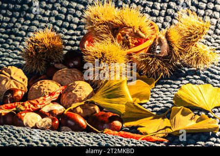 Composition de nature morte d'automne avec des feuilles jaunes, des piments rouges, des châtaignes, des noix, des châtaignes piquées et un pot orange rustique Banque D'Images