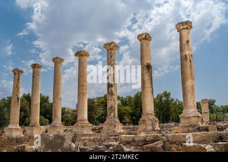 Galilée, Israël - 13 août 2023 : colonnes romaines au parc national de Bet Shean, Scythopolis, Galilée, Israël Banque D'Images