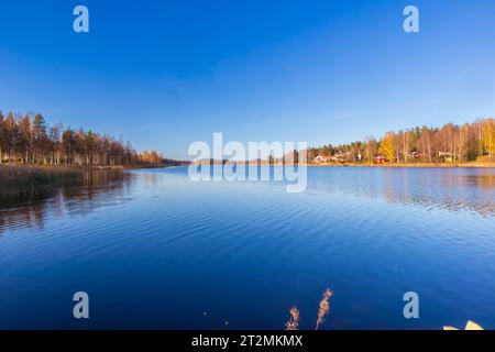 Belles couleurs d'automne dans le paysage suédois Banque D'Images