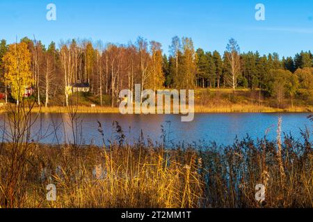 Belles couleurs d'automne dans le paysage suédois Banque D'Images