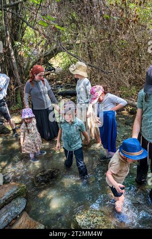 Tel Dan, Israël - 14 août 2023 : une famille israélienne aime se détendre et jouer dans un ruisseau à tel Dan, Israël. Banque D'Images