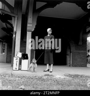 AUDREY HEPBURN à SABRINA (1954), dirigé par BILLY WILDER. Crédit : PHOTOS / Album PARAMOUNT Banque D'Images