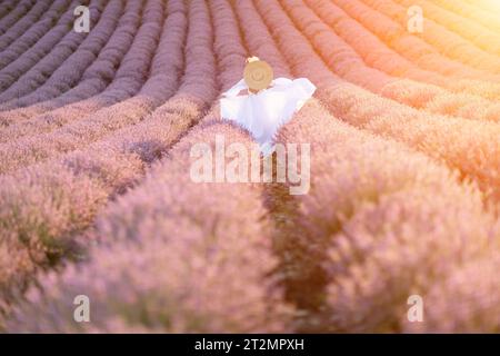 Une femme heureuse vêtue d'une robe blanche et d'un chapeau de paille se promenant à travers un champ de lavande au lever du soleil, en admirant l'atmosphère tranquille. Banque D'Images