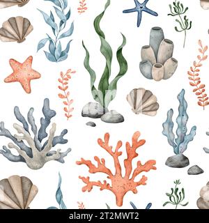 Modèle sans couture de galets de mer, corail marin, étoiles de mer, algues marines. Illustration à l'aquarelle dessinée à la main. Imprimé marin tropical pour papier d'emballage Banque D'Images