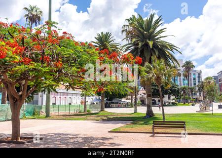 Parque de Santa Catalina (Santa Catalina Park) sur le front de mer, Las Palmas de Gran Canaria, Gran Canaria, Îles Canaries, Espagne Banque D'Images