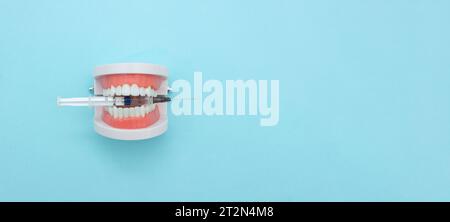 Concept dentaire. Fausses dents, mâchoires. Photo conceptuelle dentaire. Dents dentaires le modèle dentiers tient la seringue en plastique jetable du dentiste avec l'espace de copie Banque D'Images
