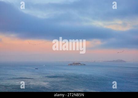 Des troupeaux d'oiseaux survolent la baie de San Francisco au coucher du soleil avec l'île d'Alcatraz Banque D'Images