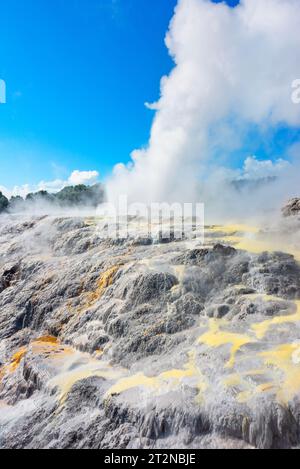 Vue sur la vallée géothermique, notamment les geysers de Pohutu et du Prince de Galles, te Puia, Rotorua, Nouvelle-Zélande, Banque D'Images