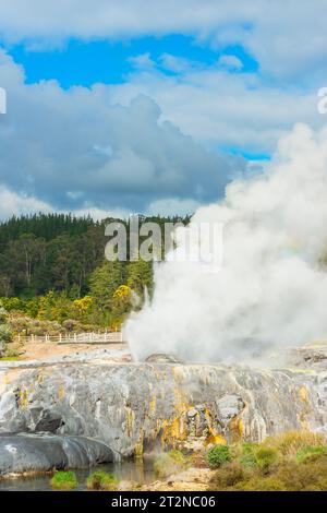 Pohutu Geyser à te Puia, Rotorua, Nouvelle-Zélande Banque D'Images