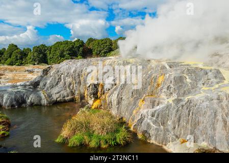 Pohutu Geyser à te Puia, Rotorua, Nouvelle-Zélande Banque D'Images