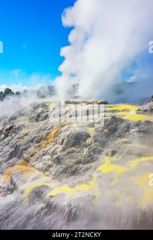 Pohutu et Prince of Wales geysers, te Puia, Rotorua, Nouvelle-Zélande, Banque D'Images