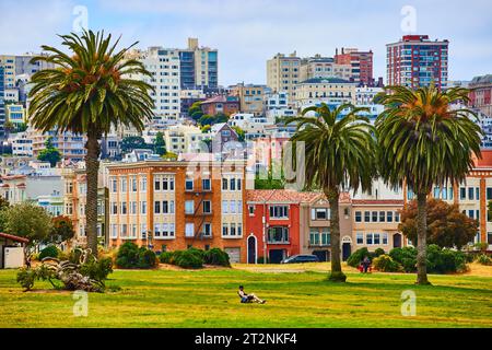 Alamo Square terrain herbeux avec une personne reposant dans une chaise de jardin et des palmiers devant le logement Banque D'Images