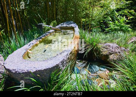 Shishi odoshi sur canoë en pierre avec chemin pavé en pierre coloré dans le jardin de thé japonais Banque D'Images