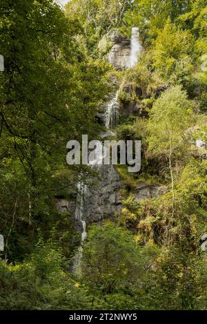 Canonteign Falls, Canonteign Estate, Chudleigh, Devon, Angleterre Banque D'Images