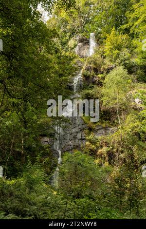 Canonteign Falls, Canonteign Estate, Chudleigh, Devon, Angleterre Banque D'Images