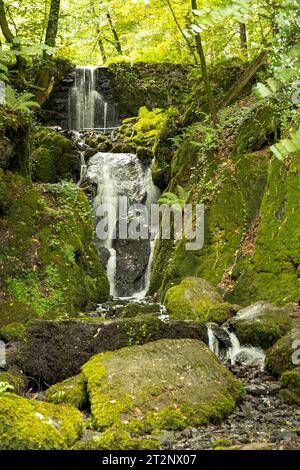 Clampitt Falls, Canonteign Estate, Chudleigh, Devon, Angleterre Banque D'Images