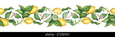 Aquarelle illustration motif horizontal de citrons jaunes avec des feuilles et des fleurs vertes. Compositions pour mariages, affiches, cartes postales, bannières, mouches Banque D'Images