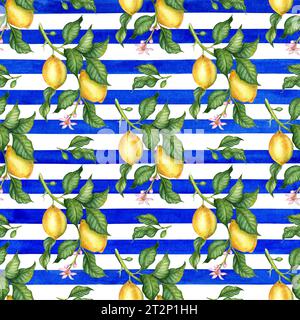 Illustration à l'aquarelle d'un motif de citrons jaunes avec des feuilles vertes et des fleurs sur un fond rayé bleu. Compositions pour affiches, cartes postales, Banque D'Images