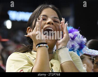 Phoenix, États-Unis. 20 octobre 2023. Une fan des Diamondbacks de l'Arizona applaudit son équipe alors qu'ils affrontent les Phillies de Philadelphie dans le quatrième match des NLCS au Chase Field à Phoenix le vendredi 20 octobre 2023. Photo de Rick d'Elia/UPI crédit : UPI/Alamy Live News Banque D'Images