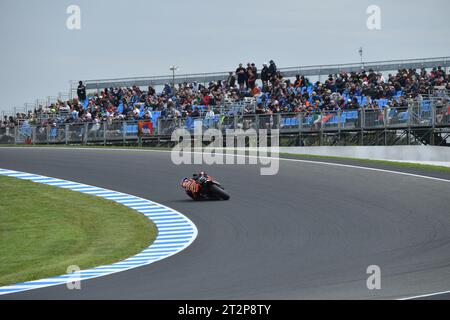 MELBOURNE, AUSTRALIE. 21 octobre 2023. Guru par Gryfyn Australian Motorcycle Grand Prix of Australia. L'australien Jack Miller, Red Bull KTM Factory Racing lors des qualifications MotoGP au MotoGP australien. Crédit photo : Karl Phillipson/Alamy Live News Banque D'Images