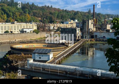 Willamette Falls Banque D'Images