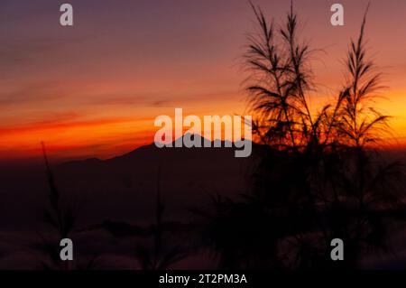 Lever de soleil pris du mont Batur, avec le mont Abang et le mont Agung en arrière-plan et les plantes au premier plan Banque D'Images