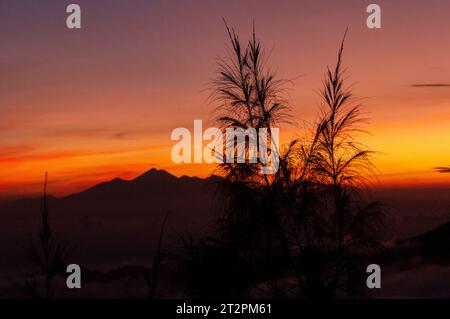 Lever de soleil pris du mont Batur, avec le mont Abang et le mont Agung en arrière-plan et les plantes au premier plan Banque D'Images