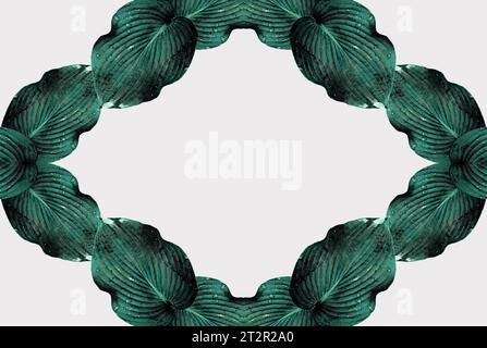 Une combinaison de grands fragments de feuilles de plantes Hosta sur un fond monochrome. Variation de couleur. Composition minimale. Papier peint exclusif. Espace de copie Banque D'Images