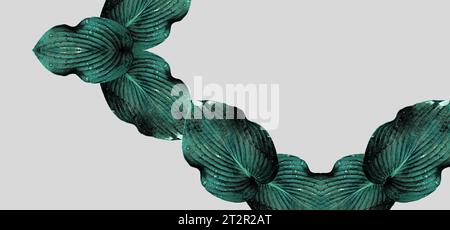 Une combinaison de grands fragments de feuilles de plantes Hosta sur un fond monochrome. Variation de couleur. Composition minimale. Papier peint exclusif. Espace de copie Banque D'Images