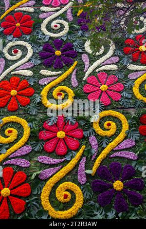 Mur de fleurs sur Avenida Presidente Masaryk pendant le Festival de Flores (jour des morts) dans le quartier Polanco à Mexico, Mexique Banque D'Images