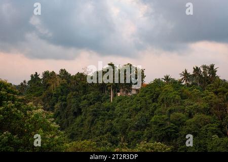 Découvrez une oasis cachée dans le Campuhan Ridge Walk d'Ubud, où une villa est nichée au milieu d'un feuillage forestier luxuriant. Banque D'Images