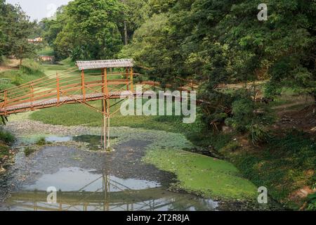 pont de traversée en bambou, vu de côté avec un grand angle, Banque D'Images