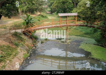 pont de traversée en bambou, vu de côté avec un grand angle, Banque D'Images